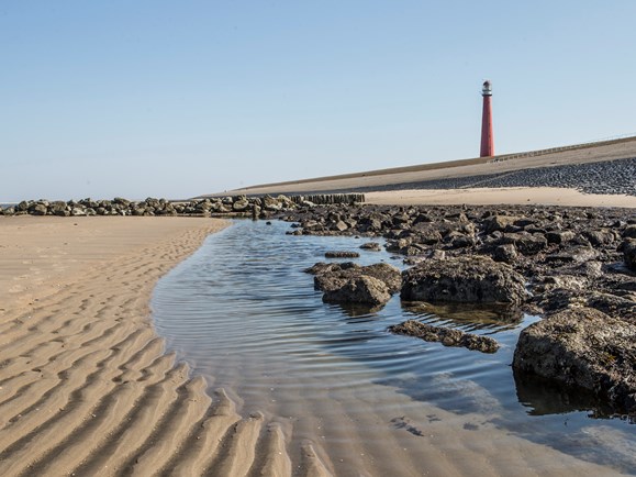 Mooiste stranden Nederland - Reisliefde